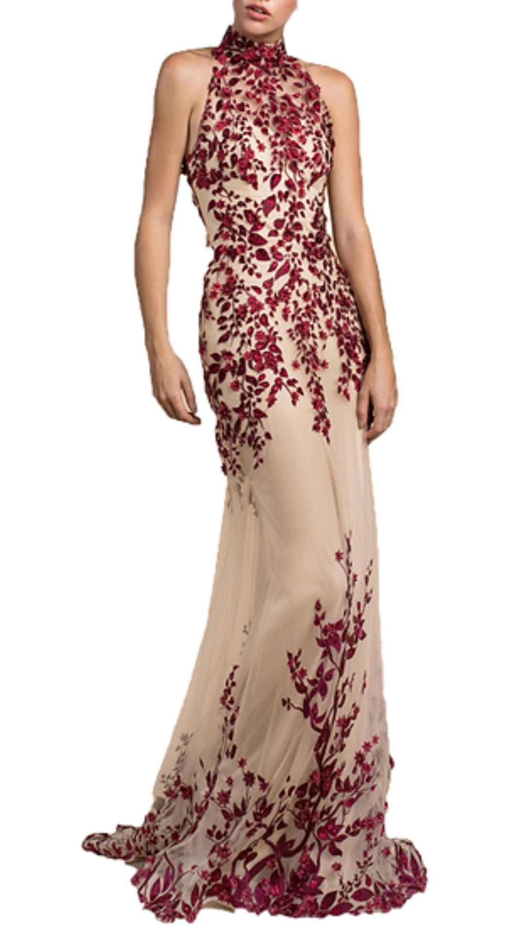 Maroon gown 2025 with sleeves