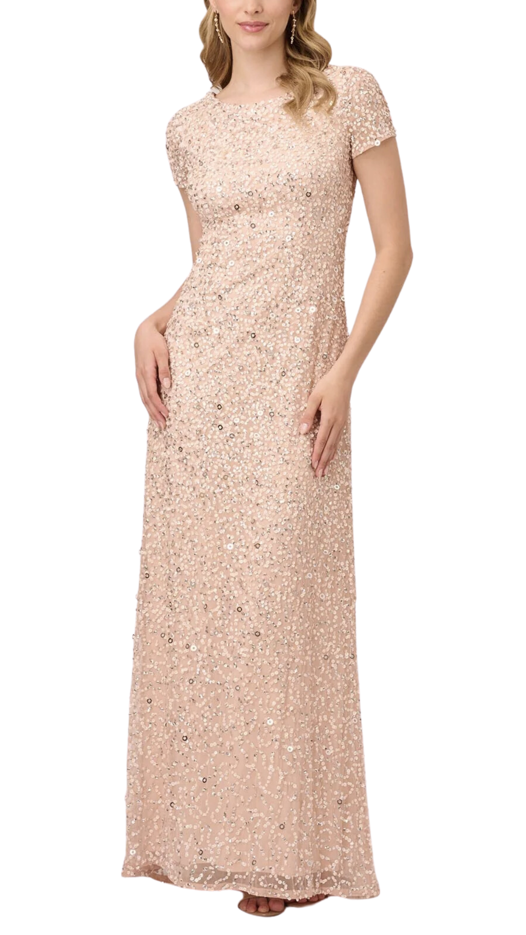 Adrianna papell long sequin best sale dress