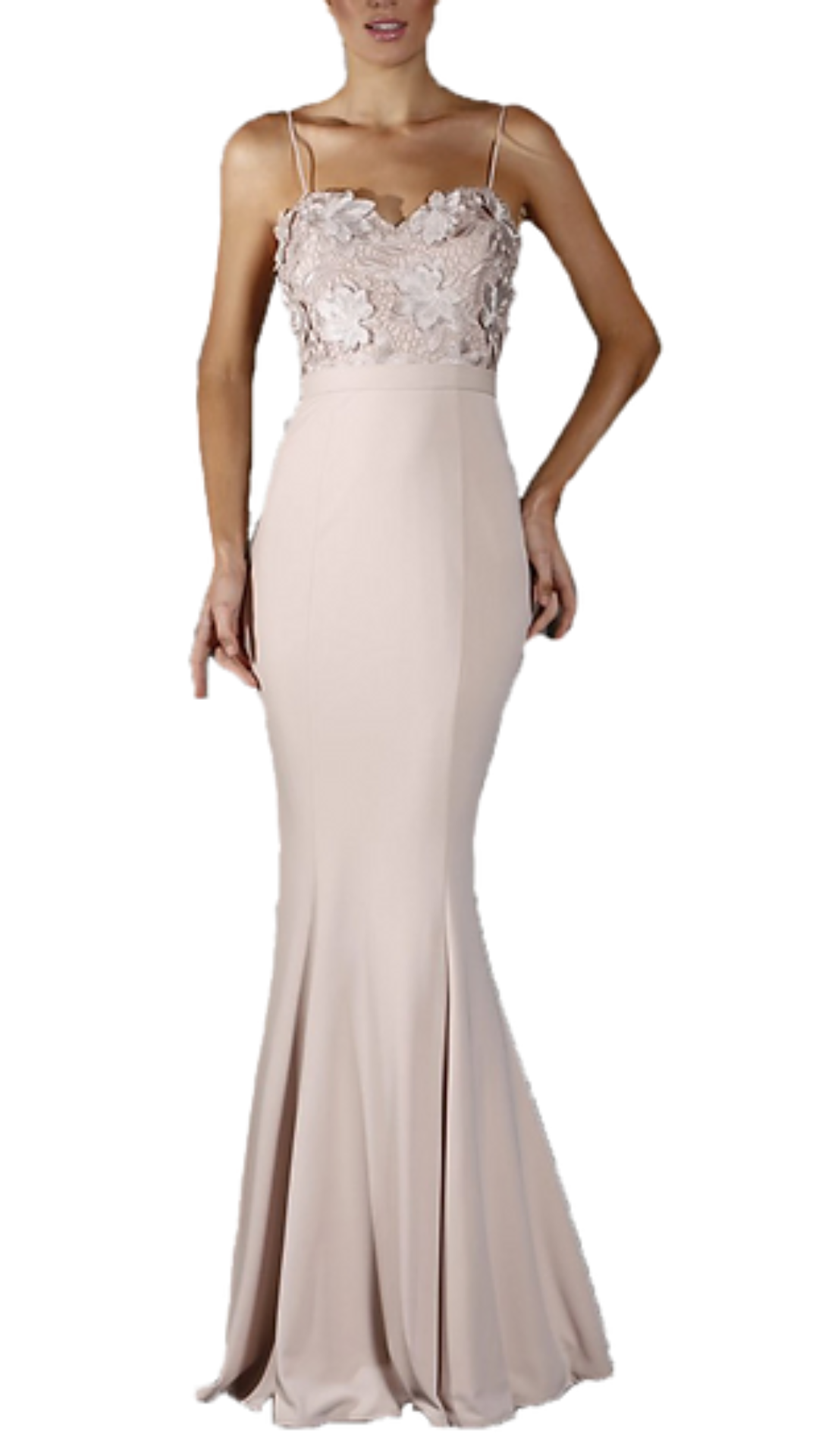 Jadore Lucy Cami Embroidered Gown in Blush