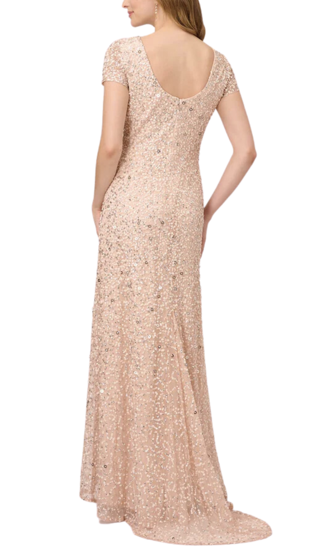 Adrianna Papell Scoop Back Sequin Gown in Blush